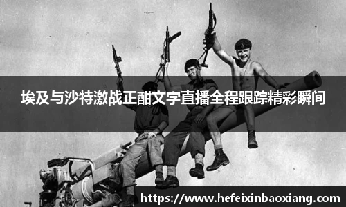 JN体育